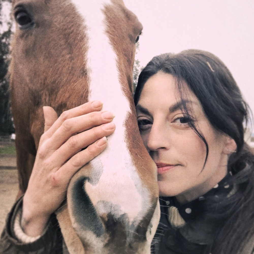 Meet the Posher, Dawn